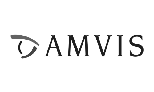 Amvis