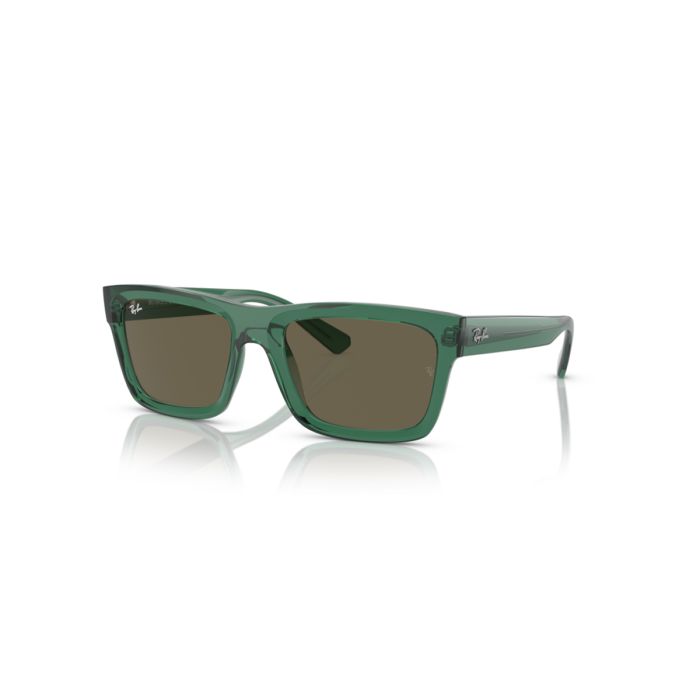 Ray Ban Warren 4396 6681/3 54