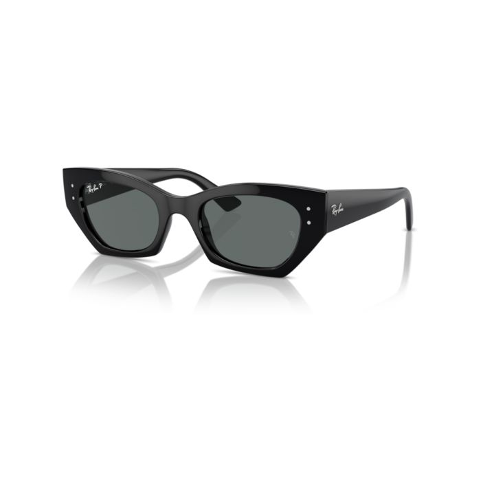 Ray Ban Zena Polarized 4430 667781 49