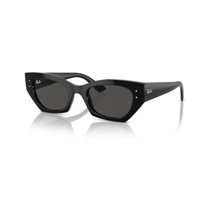 Ray Ban Zena 4430 667787 49