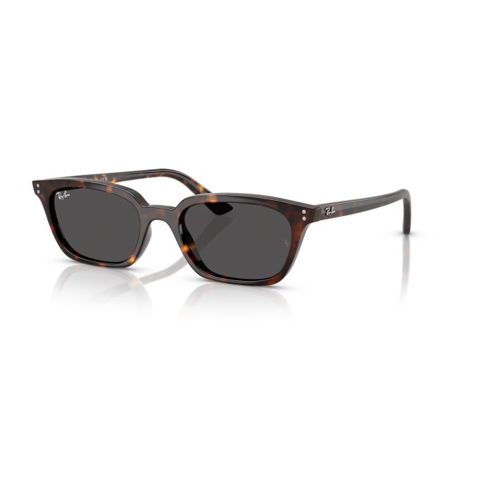 Ray Ban Zaya 4456 135987 53