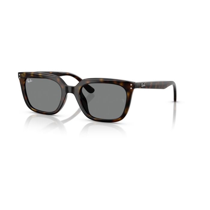 Ray Ban 4439D 710/87 54