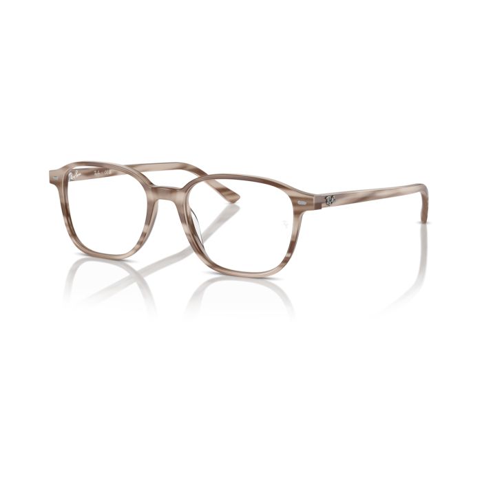 Ray Ban Leonard 5393 8357 49