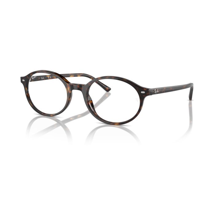 Ray Ban German 5429 2012 51