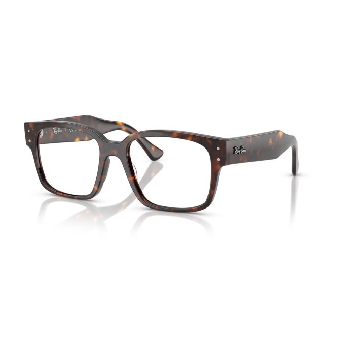 Ray Ban 7256 8320 53