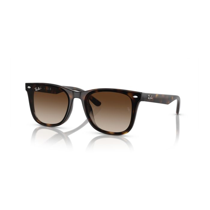 Ray Ban 4420 710/13 65