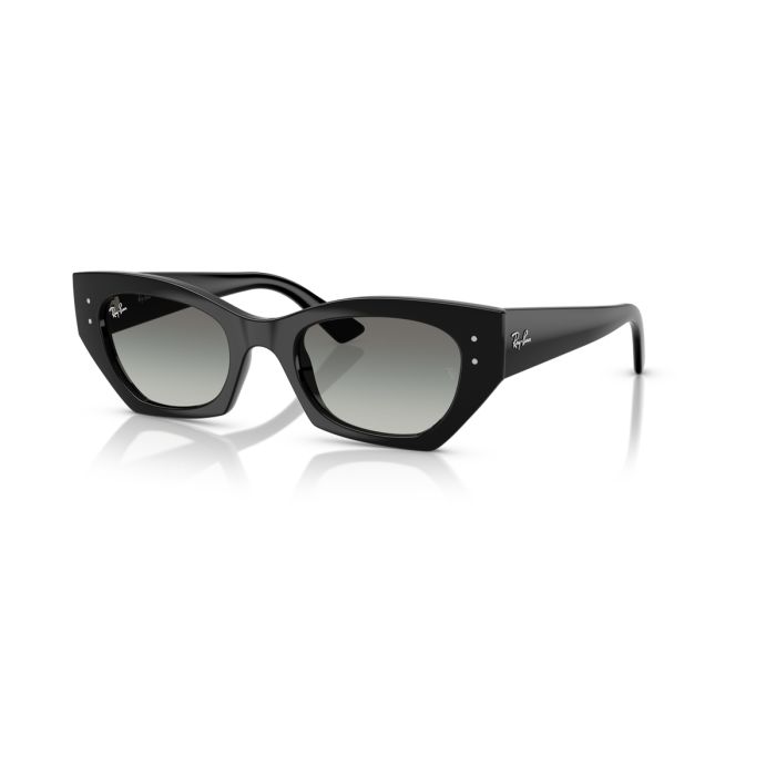 Ray Ban Zena 4430 667711 49
