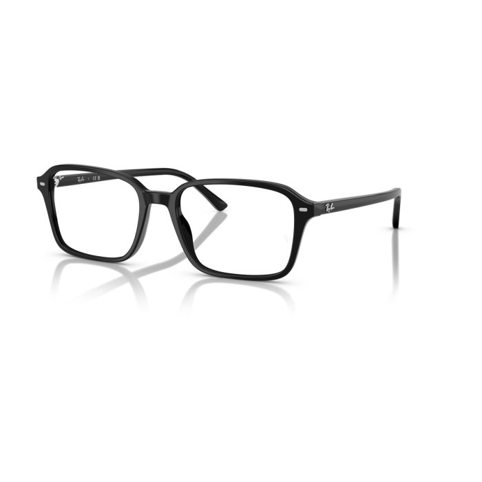 Ray Ban Raimond 5431 2000 54