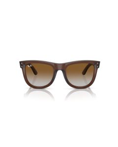 Ray Ban Wayfarer Reverse R0502S 6709CB 50