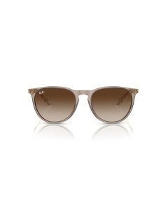 Ray Ban Erika 4171 674413 54