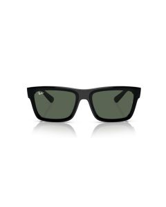 Ray Ban Warren 4396 667771 54