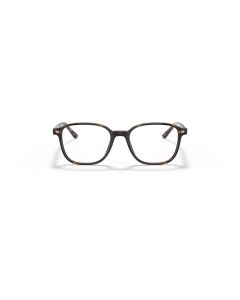 Ray Ban Leonard 5393 2012 49