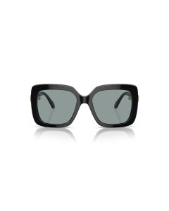 Swarovski 6001 1001/1 55