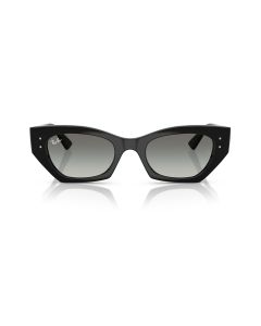 Ray Ban Zena 4430 667711 49